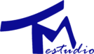 Estudio TM 2025